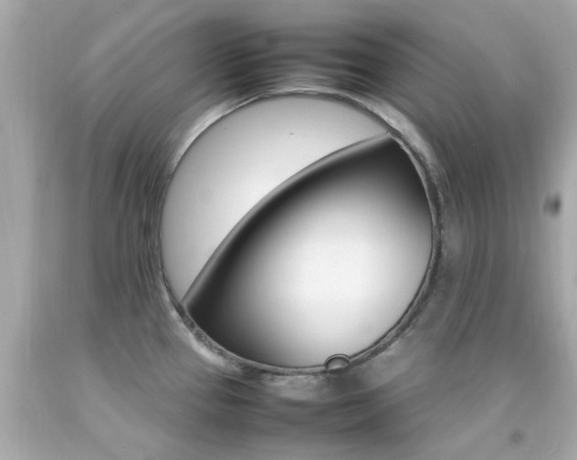 X0000092091337200709121118