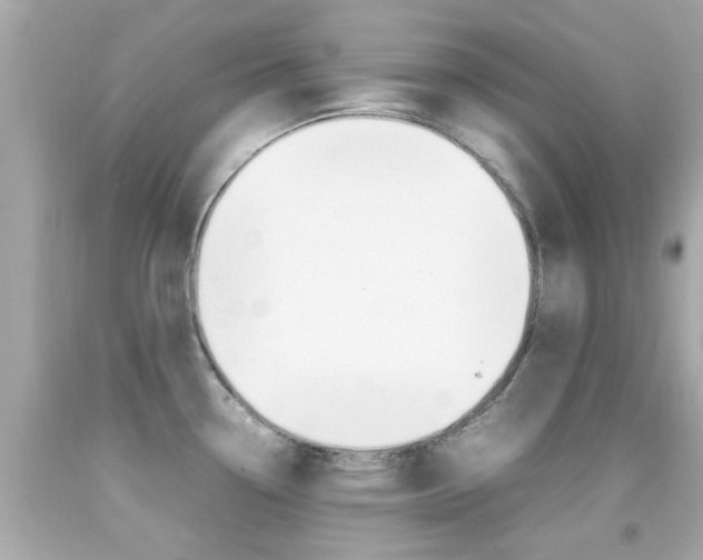 X0000092091338200709121118