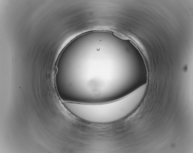 X0000092091340200709121118