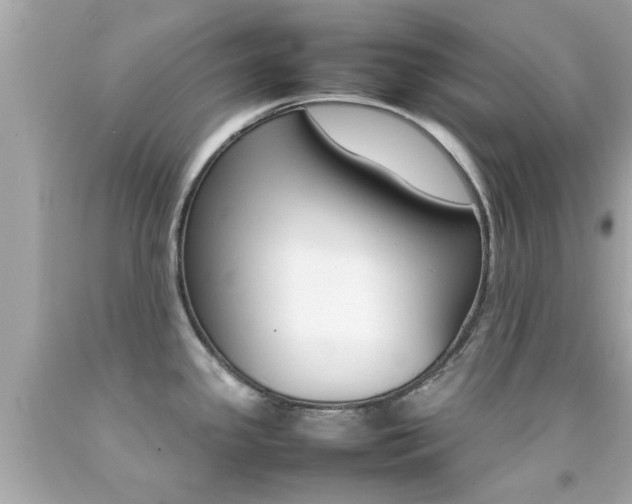 X0000092091341200709121118