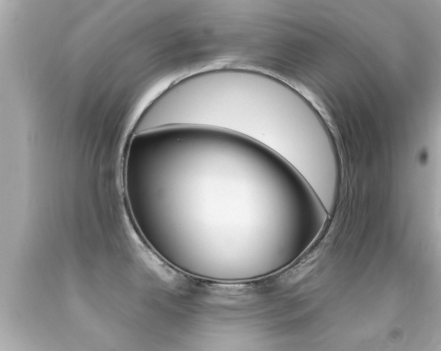 X0000092091342200709121118