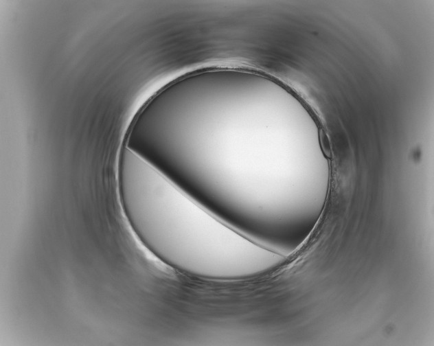 X0000092091343200709121118