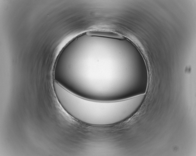 X0000092091344200709121118