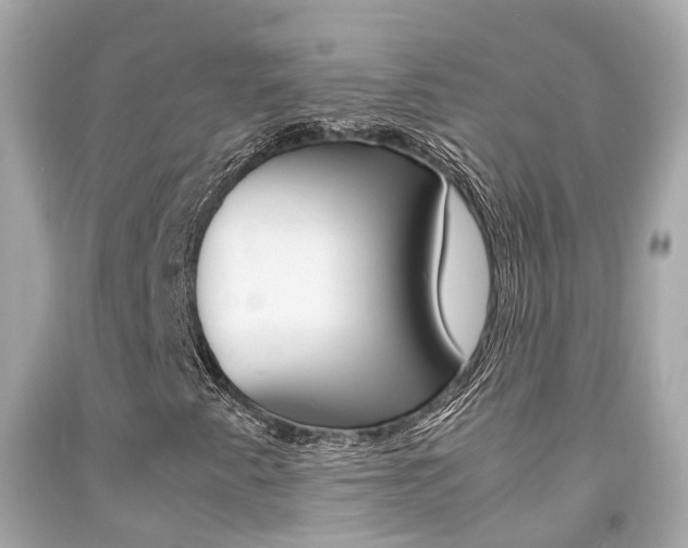 X0000092091345200709121117