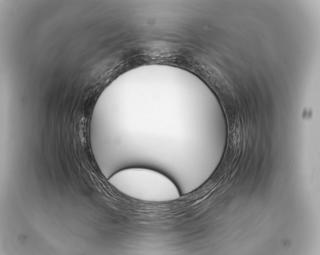 X0000092091346200709121117