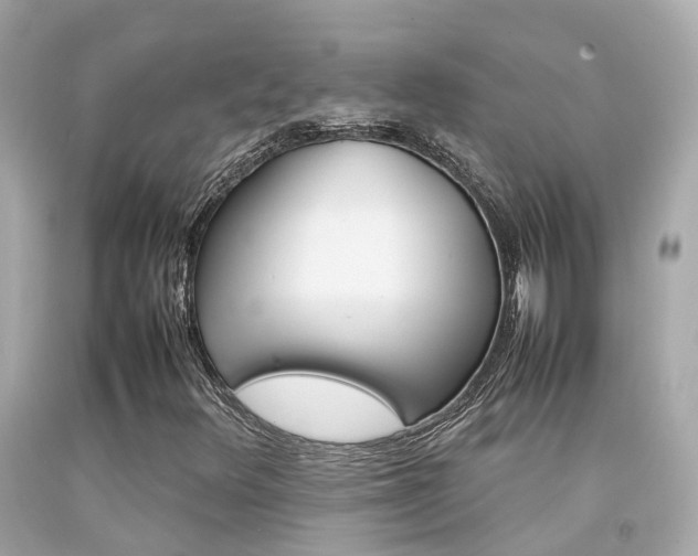 X0000092091348200709121117