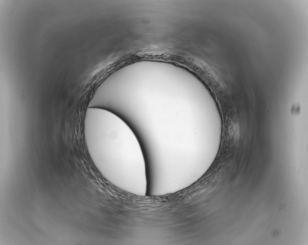 X0000092091350200709121117