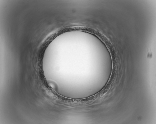 X0000092091351200709121117