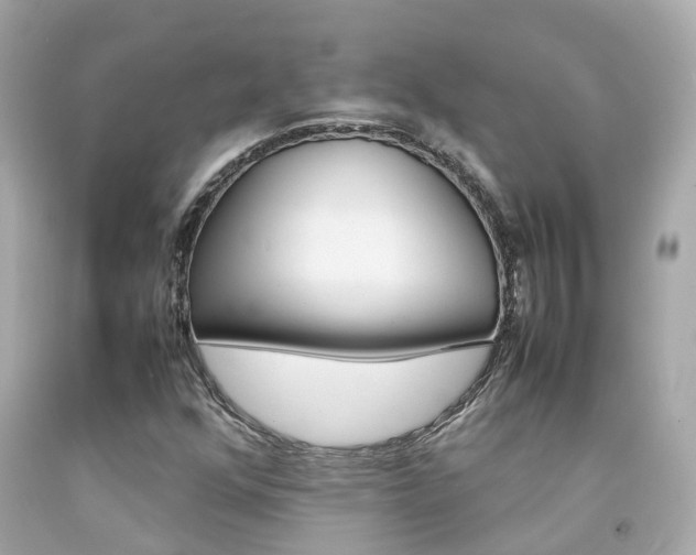 X0000092091352200709121117