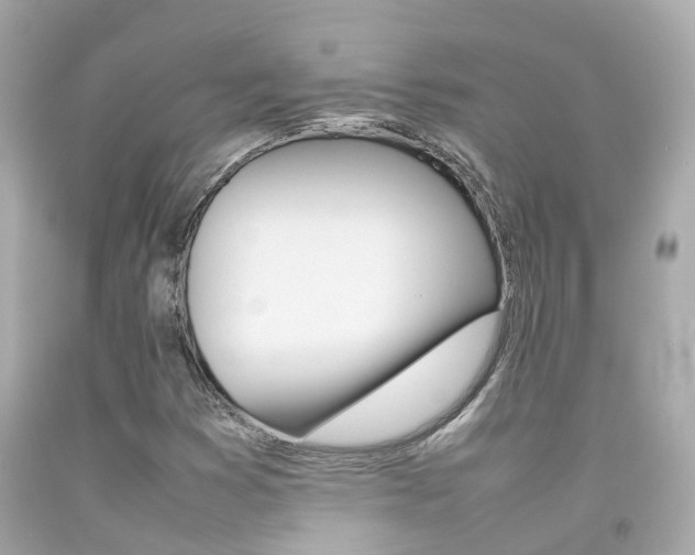 X0000092091353200709121117