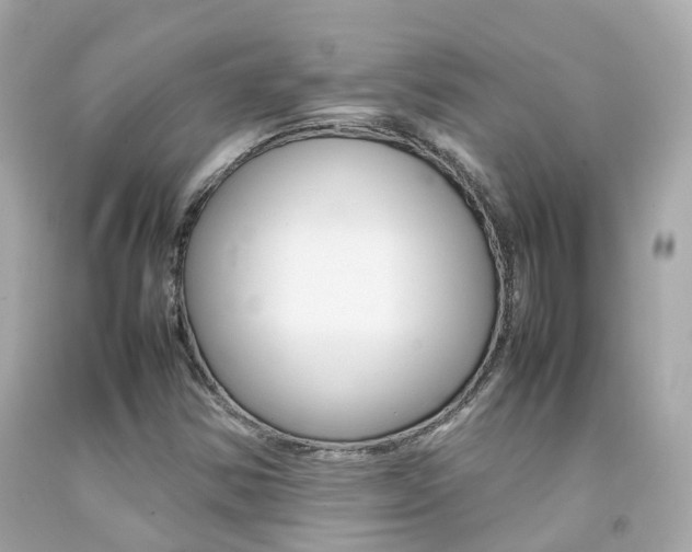 X0000092091354200709121117