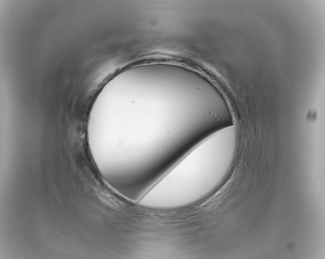 X0000092091355200709121117
