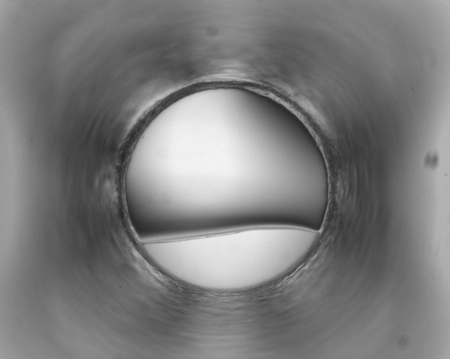 X0000092091356200709121117