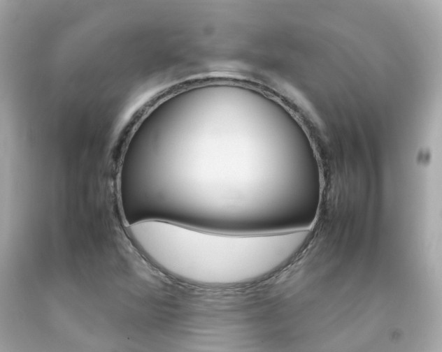 X0000092091360200709121117
