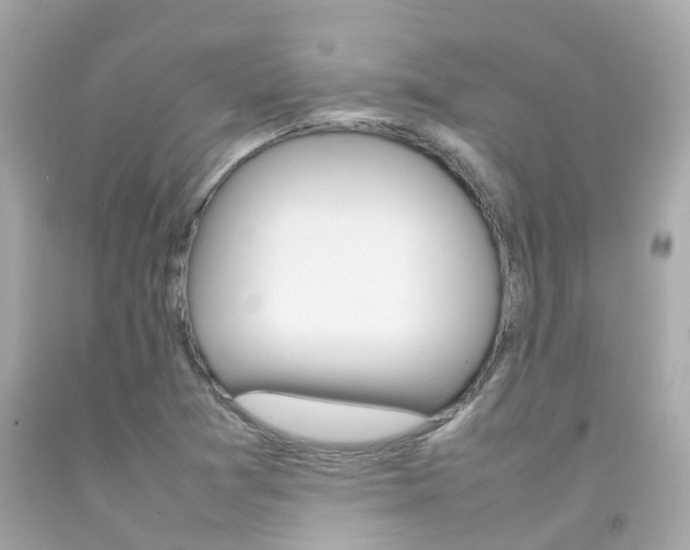 X0000092091361200709121117