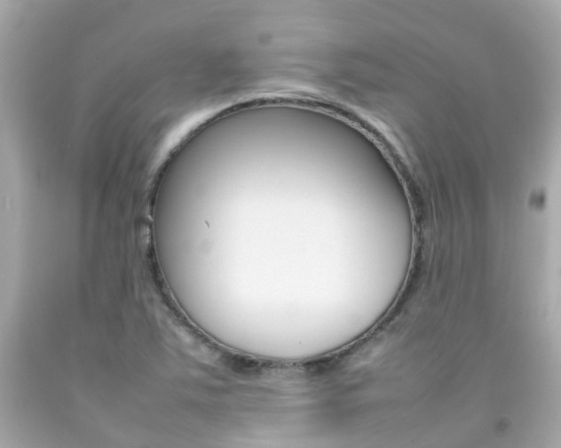 X0000092091363200709121117