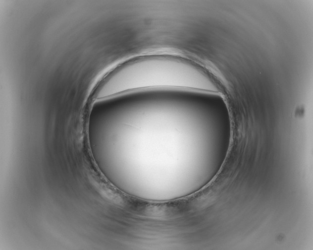 X0000092091364200709121117