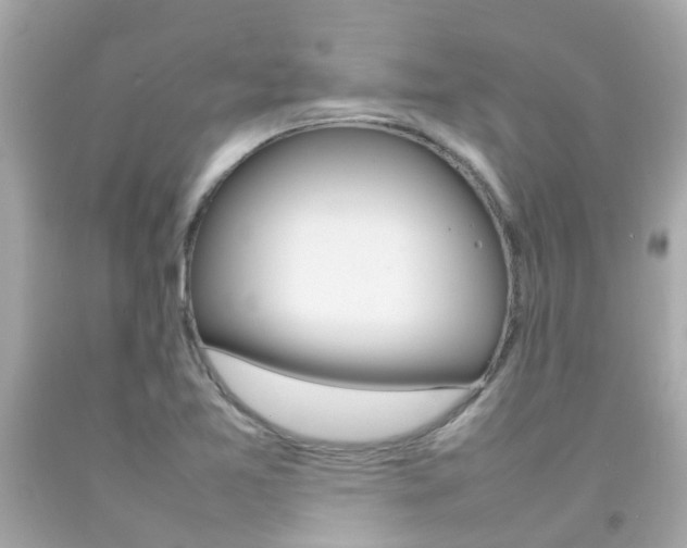 X0000092091365200709121117