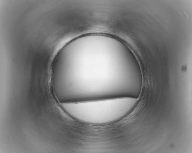 X0000092091366200709121117
