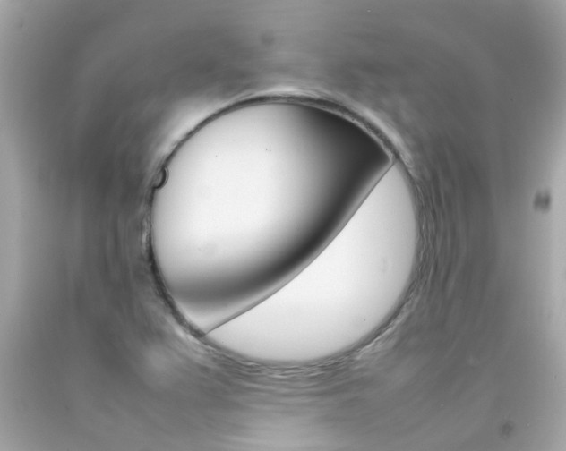 X0000092091367200709121117