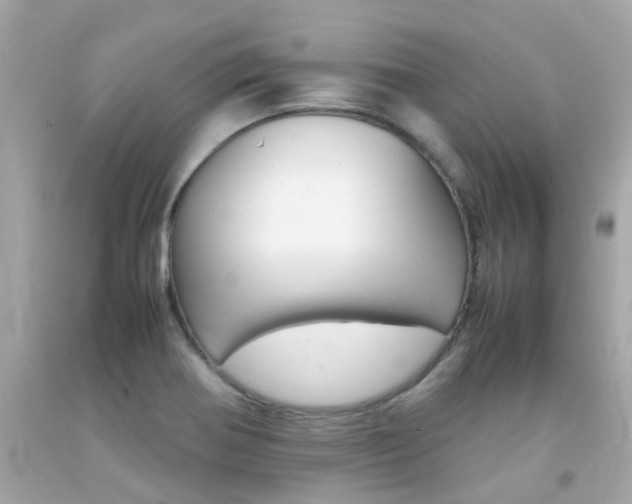 X0000092091370200709121117