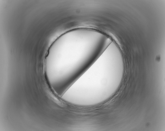 X0000092091371200709121117