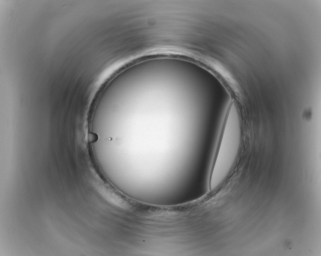 X0000092091372200709121117