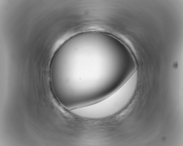 X0000092091373200709121117