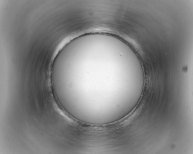 X0000092091374200709121117