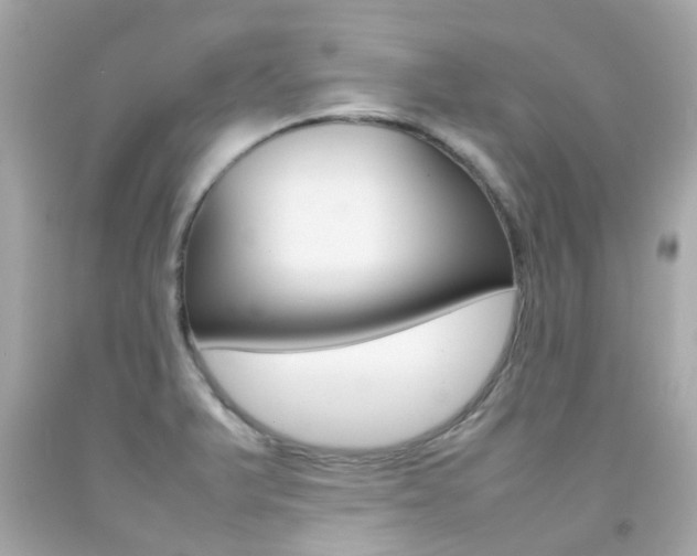 X0000092091375200709121117