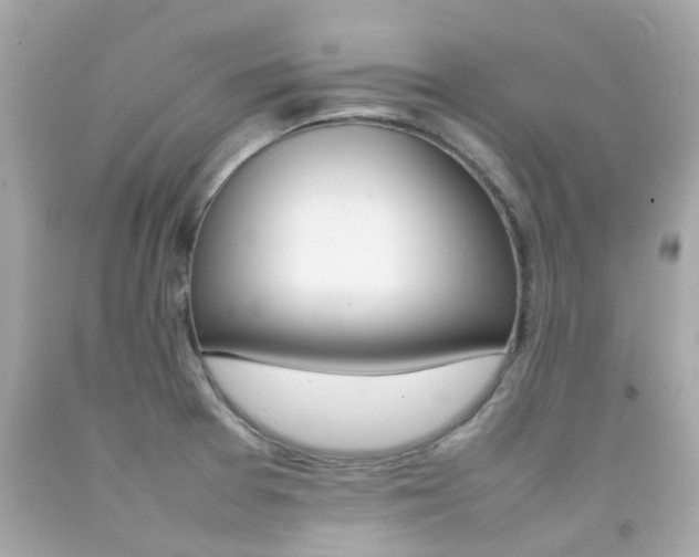 X0000092091377200709121117
