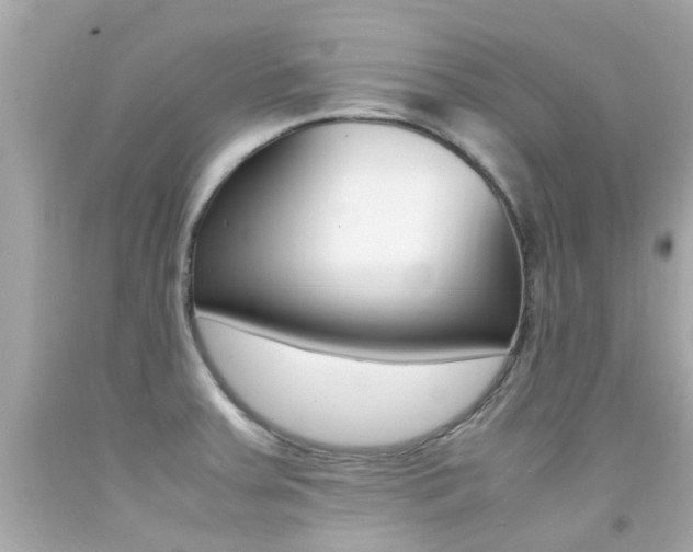 X0000092091379200709121117