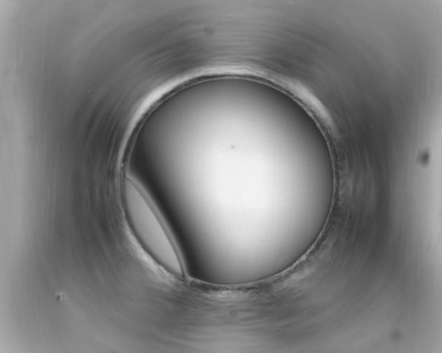X0000092091380200709121117