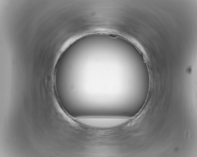 X0000092091381200709121117
