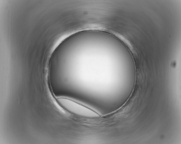 X0000092091383200709121117