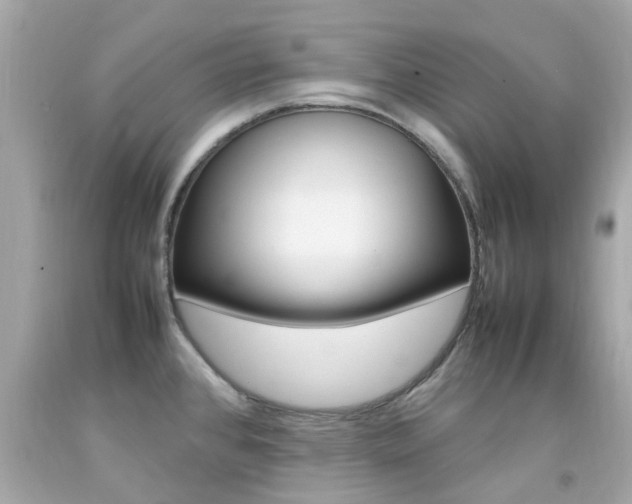 X0000092091384200709121117