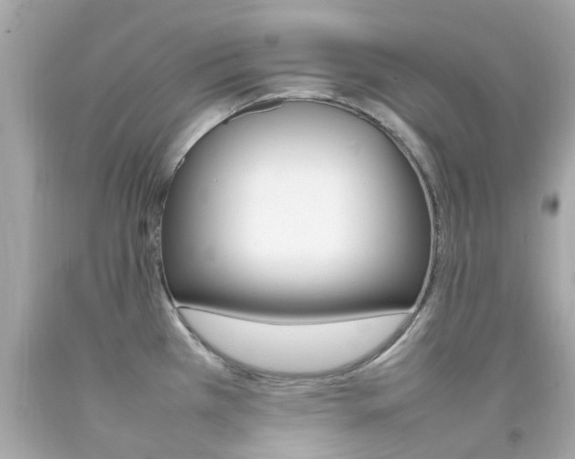 X0000092091385200709121117