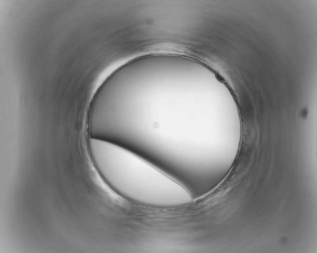 X0000092091387200709121117