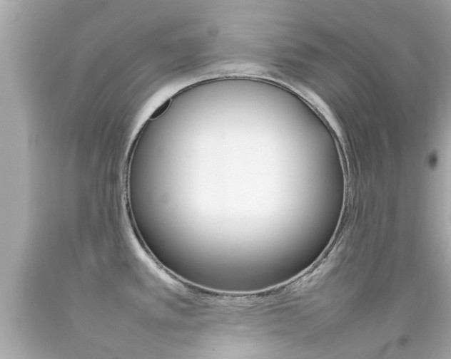 X0000092091389200709121117