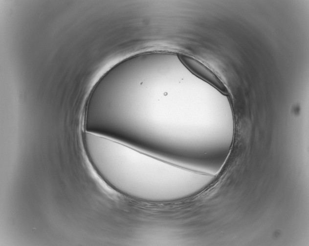X0000092091391200709121117