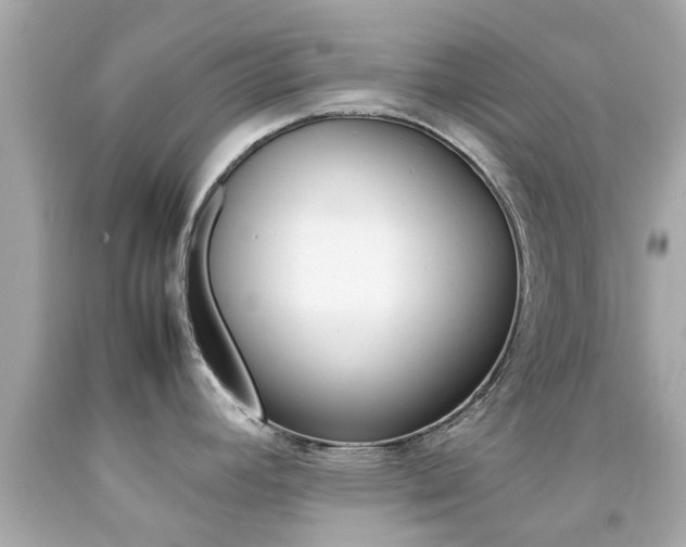 X0000092091392200709121117