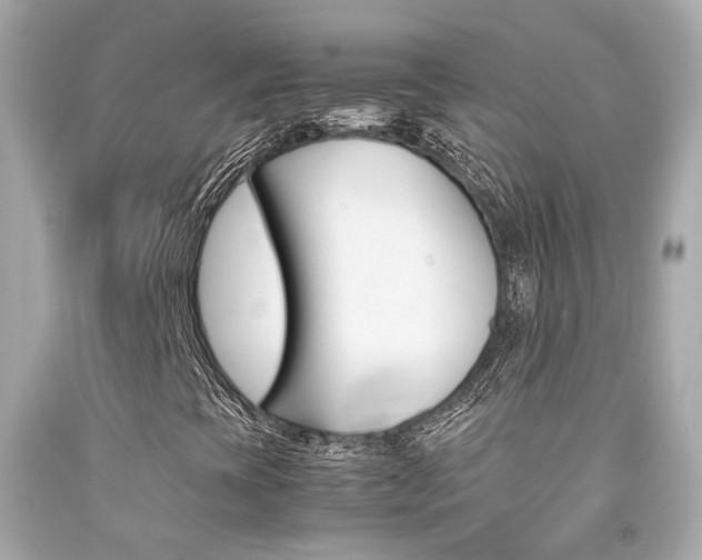 X0000092091393200709121116
