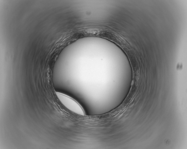 X0000092091394200709121116