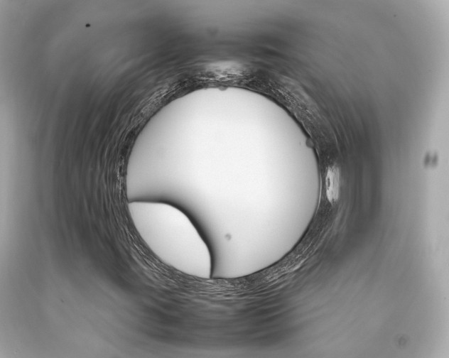 X0000092091395200709121116