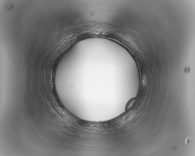 X0000092091396200709121116