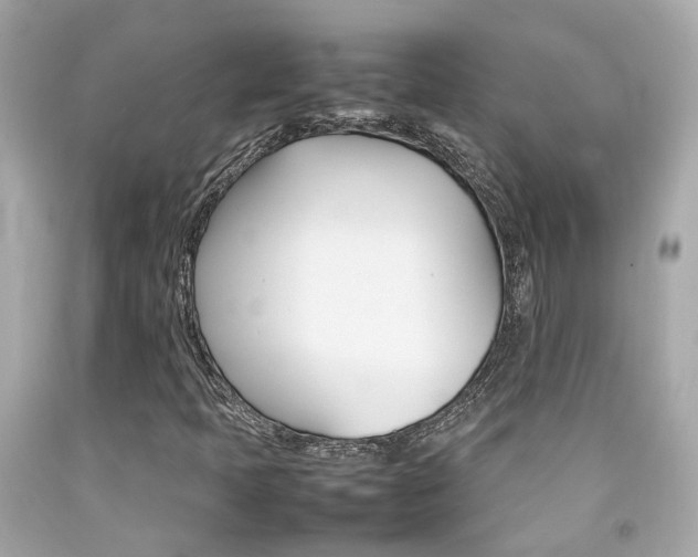 X0000092091397200709121116