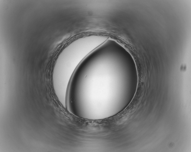 X0000092091398200709121116
