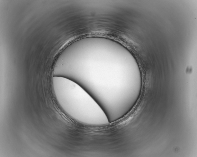 X0000092091401200709121116