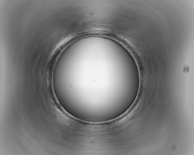 X0000092091402200709121116
