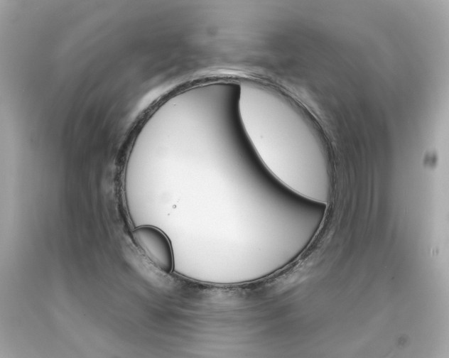 X0000092091404200709121116